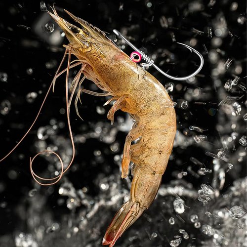 Xuvrir Fishing Hooks-Live Shrimp Hook,Bait Holder Hooks,Fishing Lures Saltwater Freshwater,2/3/4 Catfish Bass Fishing Gear Lure