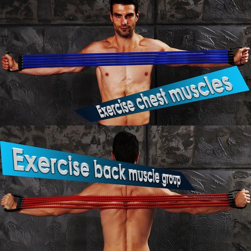 Chest Expander with Adjustable Resistance Bands, Black (Black)