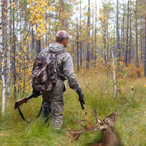4 Pcs Deer Sled Deer Drag and Harness 43.3" Lightweight Portable Wirerope Cinch Hunting Accessories with Thick Foam Handle Hunting Gear Accessories Gifts Works with Bucks Does
