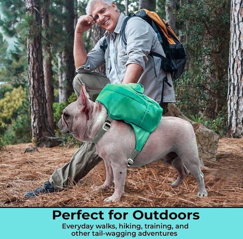 Tailtote Dog Hiking Backpack Harness Lightweight, Adjustable, and Water-Resistant Pet Poopbag Holder for Outdoor Adventures,Puppy Training or Everyday Walks (Small)