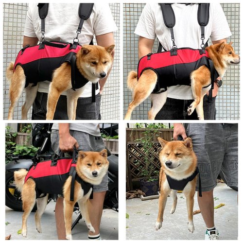 Dog Backpack Carrier for Medium/Small Dogs Dog Carrying Backpack Emergency Backpack Old, Disabled, Joint Injuries, Arthritis, Senior Dogs Up and Down Stairs, Cars Dog Hiking Backpack (M)
