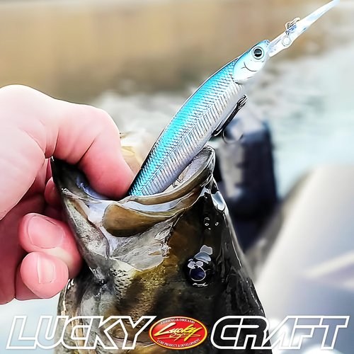 LUCKY CRAFT Lightning Staysee 110 MG-S, 580 MH Chartreuse Shad, Sinking, Magnet Weight Transfer, Freshwater Bass Fishing Lures, Deep Diver, 15ft Depth, Smallmouth, Bass Fishing Gear