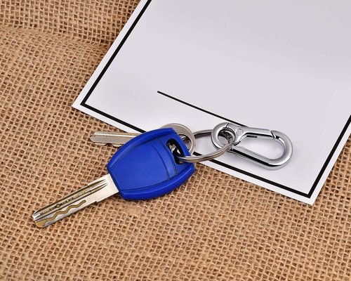 DS. DISTINCTIVE STYLE Carabiner Clip Keyring Stainless Steel Keychain with Snap Hook Quick Release Key Rings