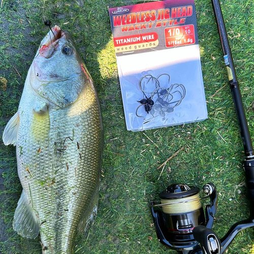 Weedless-Weighted-Wacky-Rig-Hooks-for-Bass-Fishing-Wide-Gap-Worm-Hook-Jig-Heads 10 Pack (1/8oz (3.5g)-10 Pack, 2/0 Hooks)