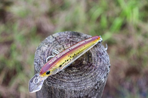 Yo-Zuri Inshore Saltware Lure Kit