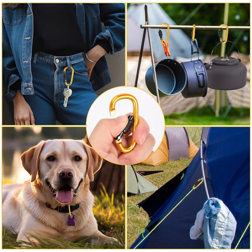 Dairzitv 10 Pack Carabiner Clip, 2.28 inch Aluminum D-Ring Shape Locking Carabiners, Snap Hook Sport Accessories for Outdoor Camping Hiking, Gold