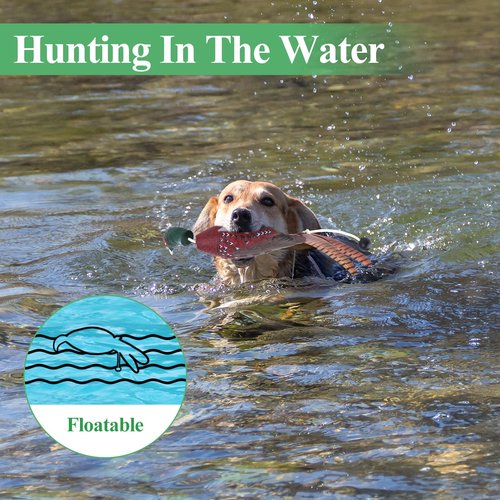 FIONUPI 3 Pcs Pheasant Toy for Dog Training Hunting Dogs Training Duck Bumper Tools Floating Dead Fowl Trainer Foam Interactive Toys for Pet Dog Training