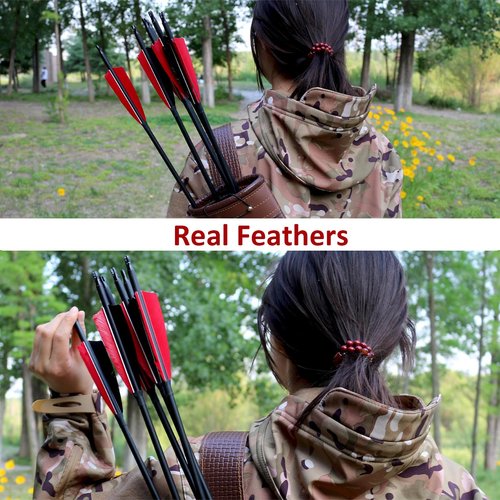 Luoyer 12 Pcs Archery Carbon Arrows with Feathers Removable Tips 30inch Hunting Arrows for Recurve Bow Longbow Compound Bow for Adults Targeting Practice