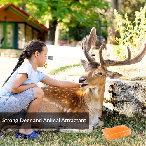 100% Natural Himalayan Rock Deer Salt Licking Block - Animal Licking Mineral Salt Block, Natural Feed Salts Bricks For Deer and Livestock Animals - 5 Lbs, 2x4x8 inch, Pack of 1