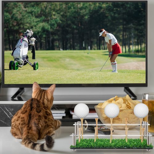 Lunmon Acrylic Metal Golf Ball Display Case Golf Ball Holder with Black Base and Turf Golf Ball Stand Display Box for Golf Ball Decoration