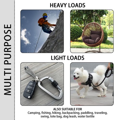 XIECHANEE Premium Aluminum D Ring 4" Locking Carabiner Clips with Screw Gate, Set of 4, Lightweight & Durable for Hiking, Camping, Hammock, Dog Leash Harness, Keychains