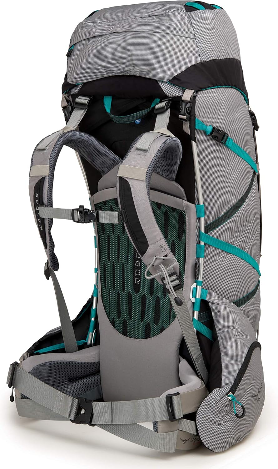 Osprey Ariel Pro 65 Women's Backpacking Backpack - Prior Season