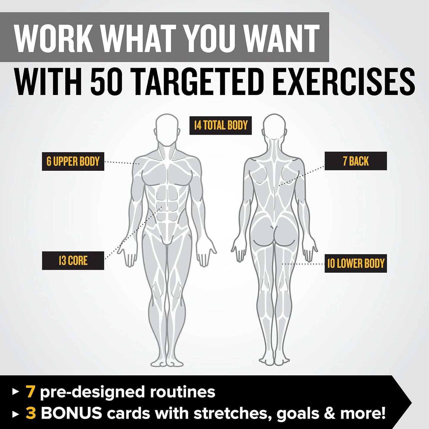 NewMe Fitness Yoga Pose Workout Cards, Instructional Fitness Deck for Women & Men, Beginner Fitness Guide to Training Exercises at Home or Gym