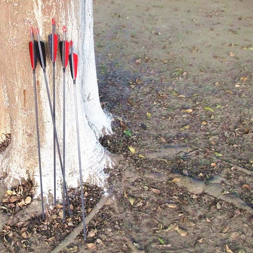 Archery Carbon Arrows 400 Spine with 4” Real Feather Fletching 100 Grain Points for Compound Recurve Longbow (12 Pack)