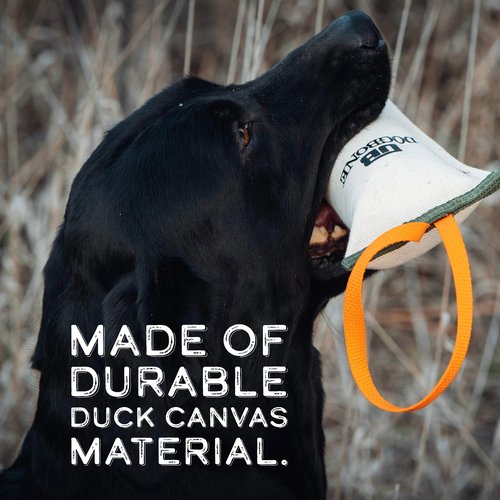 DogBone Duck Canvas Training Dummy for Hunting Dogs | Dog Bumper | Hunting Dog Toys | Hunting Dog Accessories | Hunting Dog Training Toys | Dog Training Dummy for Dogs (Small)