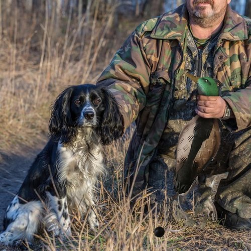 SYWAN Duck Pheasant Dove Dog Training, Dove Dummy for Dog Training Dummy Bumper Retriever Training Floating De-ad Bird Fowl Trainer Hunting Retriever Dog Training Accessories