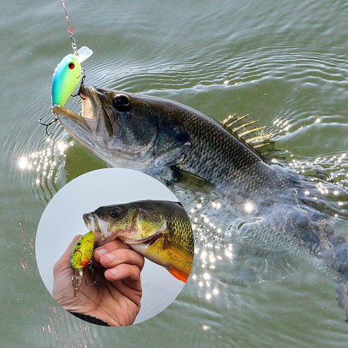 Realure 9 Pcs Minnow Bass Fishing Lures Set with Swivels, Wobbler Crankbaits with Treble Hooks, Sea Fishing Lures for Bass, Pike, Trout, Perch Lures, Hard (Mixed Colors)