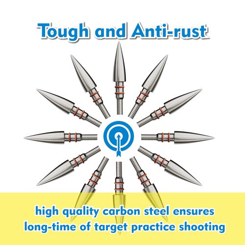 12pcs Archery Arrow Tips 100/125/150/200 Grain Field Tips 5/16 Inch, Stainless Steel Screw in Bullet Points, Archery Target Crossbow Practice Tip for Recurve Bow, Compound Bow, Hunting Bow