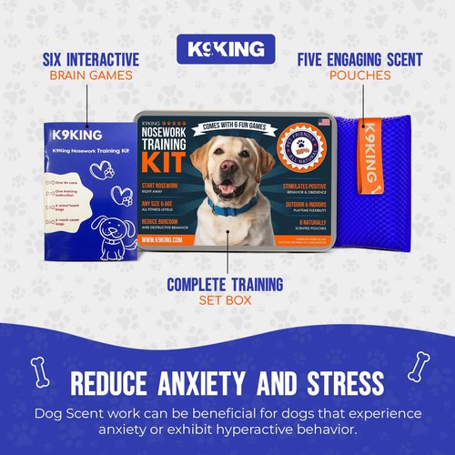 Ultimate Dog Scent Training Kit Metal Box - Enrichment Puzzle Toy for Dogs, Dog Training Tools & Behavior Aids, Scent Work Training for Dogs, Agility Training Equipment for Dogs, Puppy Training Tools
