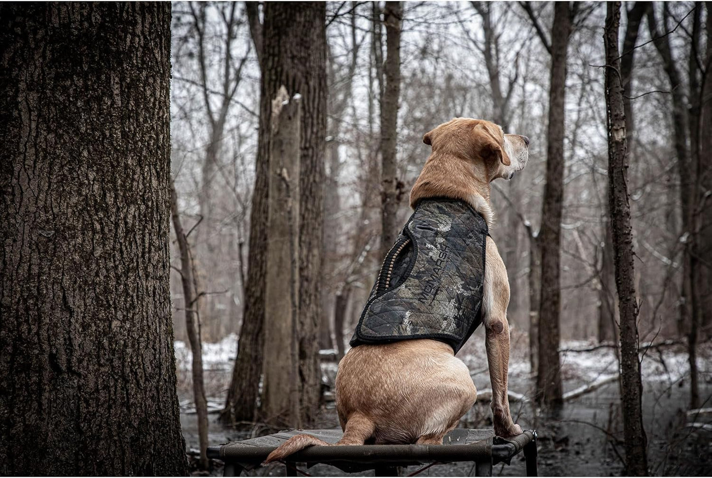 Momarsh Final Stand Dog Adjustable Training Platform | Hunting Stand | Elevated Pet System for Place, Agility & Steadiness | Waterfowl Duck Trainer System | Mesh Bottom, Mud Feet | 150 lb Capacity