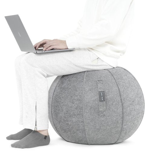 ANC POP Yoga Ball Exercise Ball, Anti Slip Stability Ball Chair, 25” Heavy Duty Large Gym Ball for Fitness, Balance and Core Workout with Cover, Easy Clean