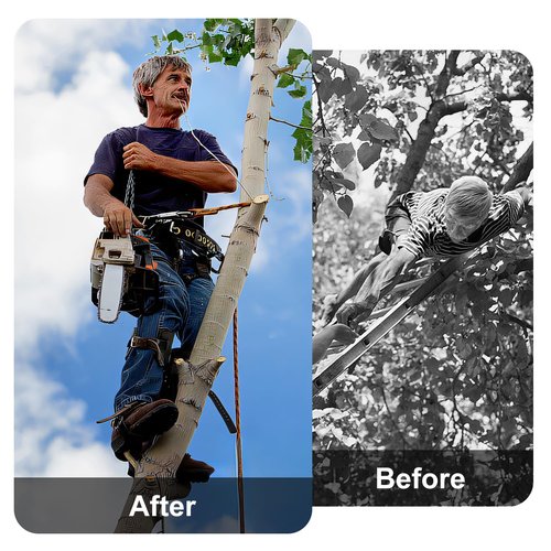 tonchean Tree Climbing Spikes Professional, Tree Climbing Gear Set with Adjustable Cowhide Straps & Soft Padding, Arborist Equipment Climbing Spurs for Logging, Hunting, Fruit Picking, Tree Trimming