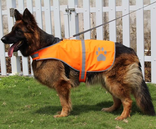 Dog Reflective Vest High Visibility Safety Jacket for Walking Running Hiking to Keep Dogs Visible Safe from Cars and Hunting Accidents Orange XXL