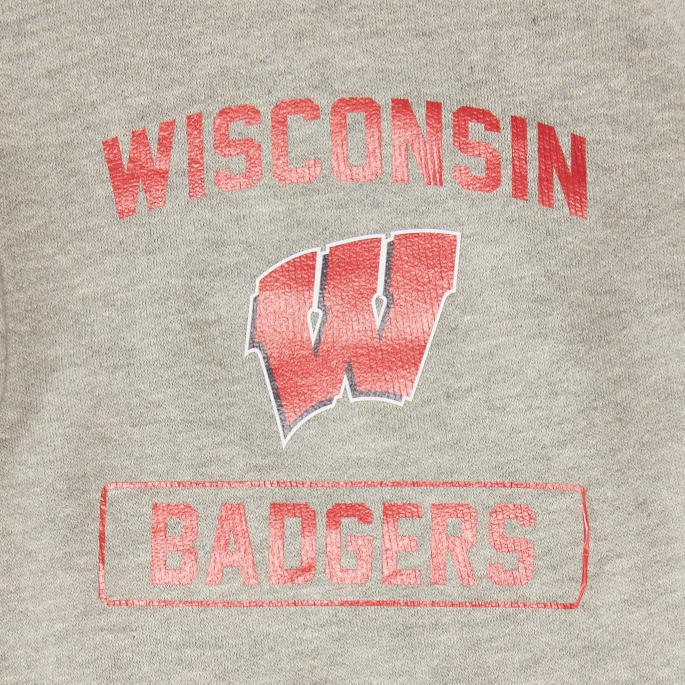 NCAA Wisconsin Badgers LittlearthNCAA Pet Hooded Crewneck Type