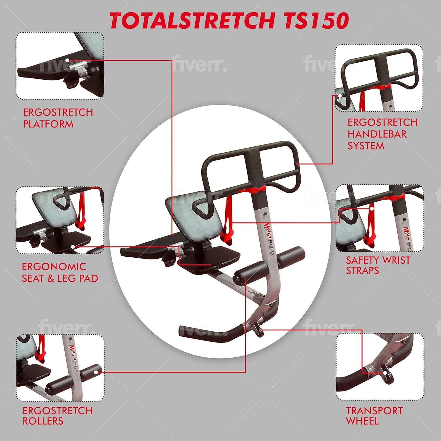 TotalStretch TS150 Commercial Back & Body Stretching Machine