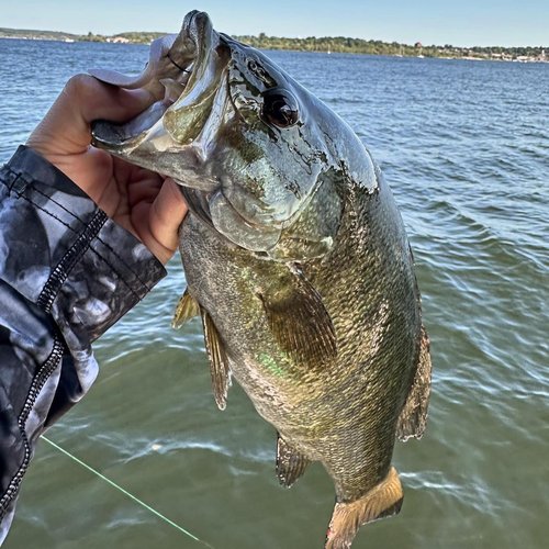 Tungsten 4 Anglers – 97% Pure Tungsten Hover Strolling Rig | Fits Any Soft Plastic Bait and Provides Natural and Enticing Movement for All Bass Species | 5 Pcs/Bag (1/8oz. #3/0)