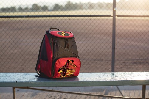 PICNIC TIME DC The Flash PTX Backpack Cooler, Soft Cooler Backpack, Insulated Lunch Bag, (Red with Gray Accents)