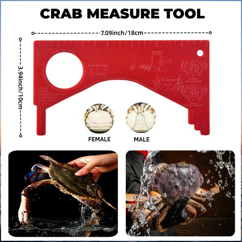 SIWRDTG Crab Trap, Stainless Steel Cylindrical Crab Snare for Dungeness, Rock and Blue Crab