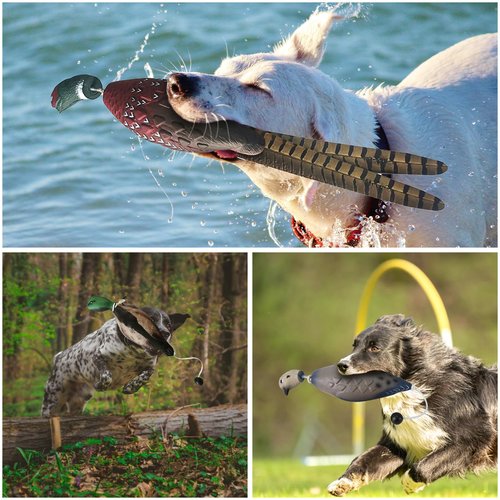 SYWAN Duck Pheasant Dove Dog Training, Dove Dummy for Dog Training Dummy Bumper Retriever Training Floating De-ad Bird Fowl Trainer Hunting Retriever Dog Training Accessories