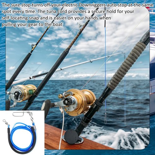 VioraWhite 2 Pcs Sure Stop Pro for Downrigger Boom with Snubber(60 Inch)