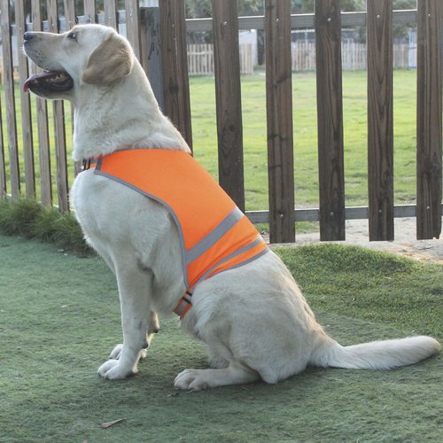 Dog Reflective Safety Vest High Visibility with Buckle for Walking Running Hiking to Keep Dogs Visible Safe from Cars and Hunting Accidents Orange Medium