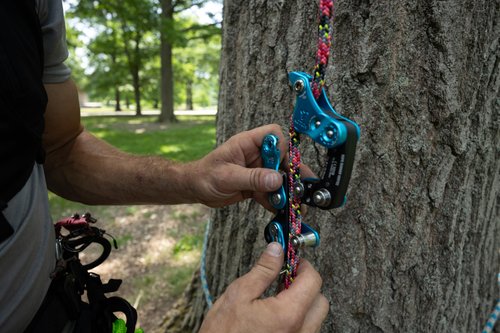 Notch Rope Runner Vertec Ultimate Climbing & Work Positioning Device, Tool-Free Adjustability, Midline Attachable, Use with Lines 11-12.9mm (99703)