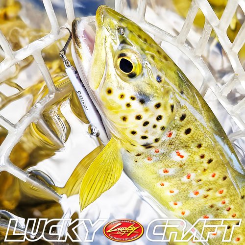 LUCKY CRAFT Pointer 48SP, 830 Ghost Ayu, Freshwater Lake Bass Fishing Lure, Jerkbait, Silent, Suspend, Fishing Gear, Fishing Accessories, Fishing Tackle, Trout, Perch