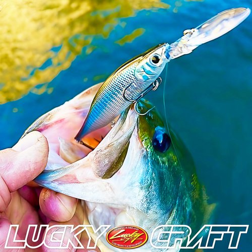 LUCKY CRAFT Lightning Staysee 110SP, 250 Chartreuse Shad, Magnet Weight Transfer, Freshwater Bass Fishing Lures, Deep Diver, Suspending, 8ft Depth, Smallmouth, Bass Fishing Gear