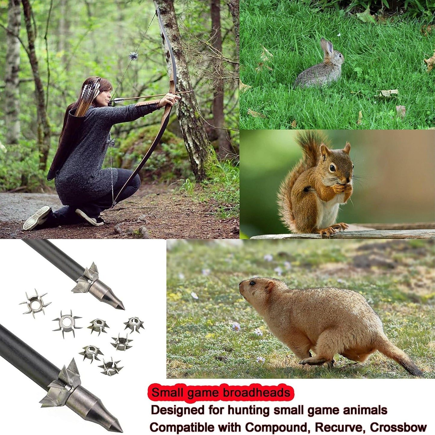 ZSHJG 8 Paw Judo Blunt Tip Archery Judo Broadheads 25 Grain Hunting Small Game Arrow Heads Paw Point for OD 6.2mm Arrow Shaft Hunting Shooting Target 12/24pcs