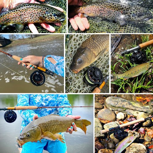 Aventik HVCE Graphite Fly Reel Center Drag System Classic III Graphite Large Arbor Sizes 3/4, 5/6, 7/8wt Fly Fishing Reels with Line (5/6 with Line)