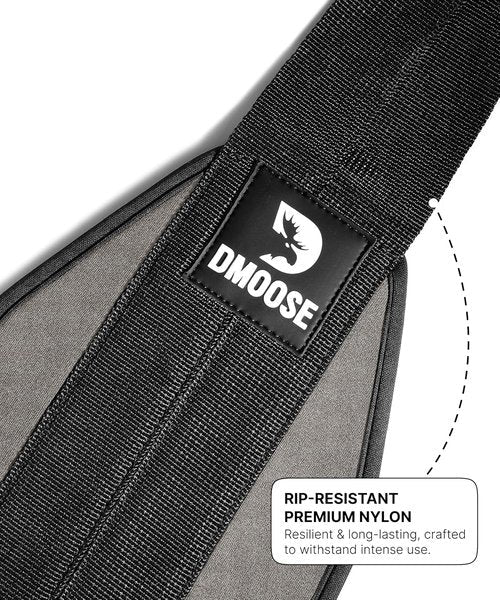 DMoose Fitness Hanging Ab Straps for Pull Up Bar & Core Strength Training - Soft Padded Exercise Straps for Ab Swing & Leg Raises, Hang Bar Strap with 2 Steel Carabiners - Abs Equipment for Home & Gym