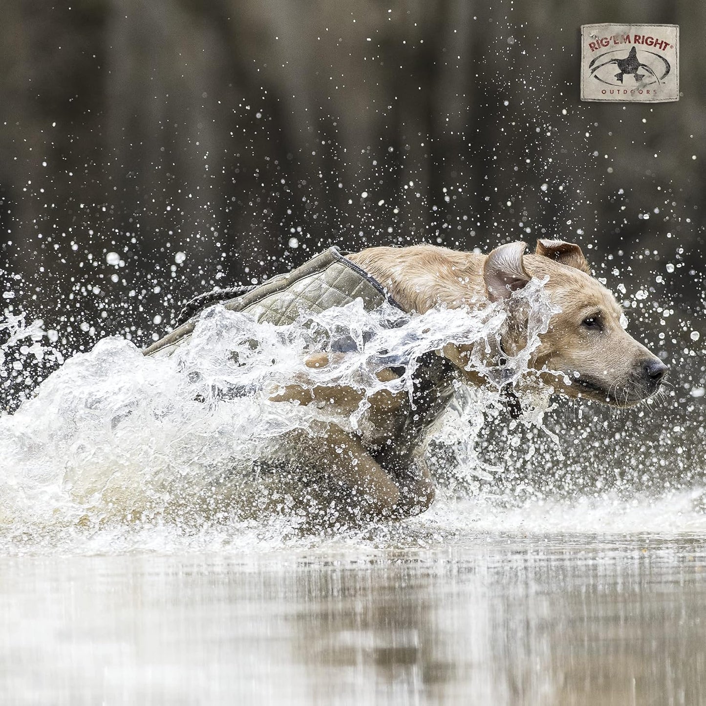 Rig'Em Right Waterfowl Bloodline Elite Dog Vest for Duck Hunting with Ultra Comfortable 3mm Neoprene 3-Layer Construction, Flotation Foam, Heavy-Duty Canvas, and More (Optifade Marsh, L)