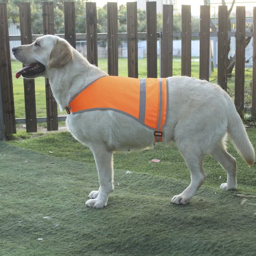 Dog Reflective Safety Vest High Visibility with Buckle for Walking Running Hiking to Keep Dogs Visible Safe from Cars and Hunting Accidents Orange Medium