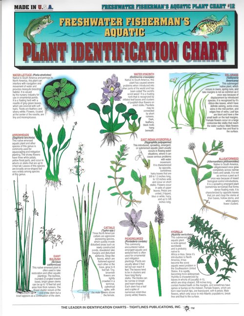 Fishermen's Freshwater Fish Identification Set - Waterproof Quick Reference Guide | Portable & Built to Last | Double-Sided & Easy to Read