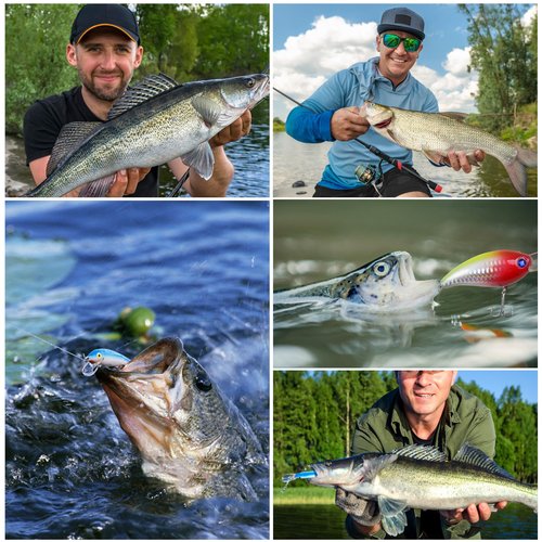 Crankbait Fishing Lures Kit,8pcs Deep Diving Crankbait Swimbait Bass Fishing Lures Hard Baits Minnow Crank Bait Lures for Bass Trout Salmon Freshwater Saltwater