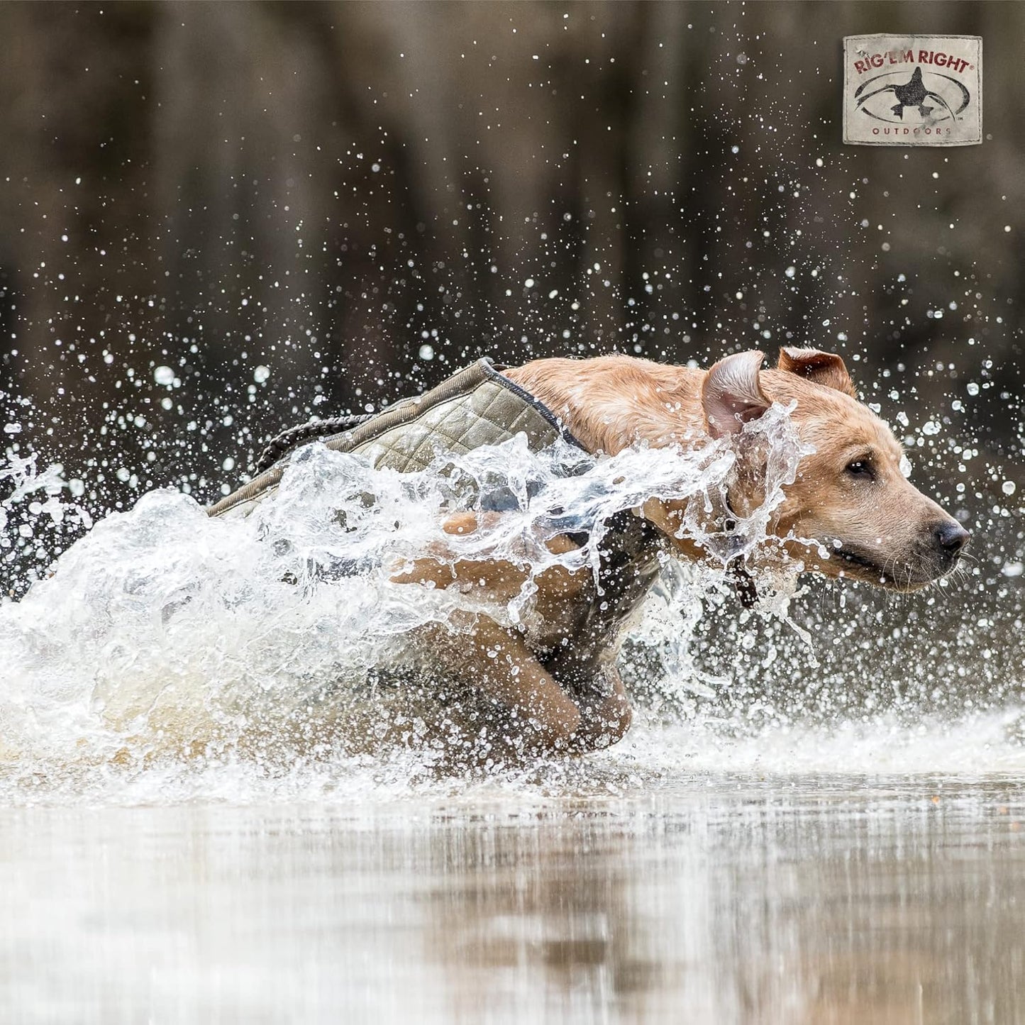 Rig'Em Right Waterfowl Bloodline Elite Dog Vest for Duck Hunting with Ultra Comfortable 3mm Neoprene 3-Layer Construction, Flotation Foam, Heavy-Duty Canvas, and More (Optifade Marsh, L)