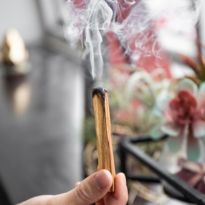 A-Grade Premium Palo Santo Incense - Sustainably Harvested in Peru - Holy Wood Smudge Sticks - Bulk Lot of 24 (Approx 1/2 lb.) for Cleansing, Smudging, Meditation and Purification (24 Sticks)