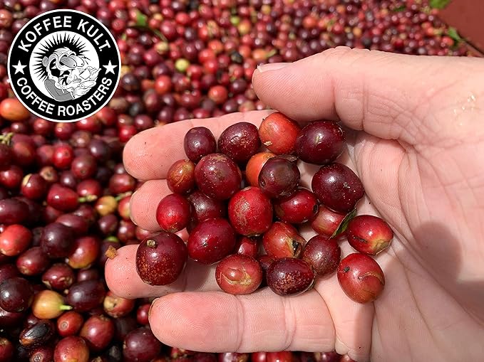 Koffee Kult Thunder Bolt Dark French Roast Whole Bean Coffee Small Batch 100% Arabica Gourmet Blend, Bold and Well Balanced 80oz Resealable Package