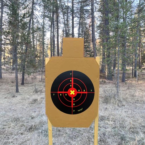 PISTEP Splatter Shooting Targets 6 Inch Reactive Paper Target Stickers 100 Self Adhesive Target Roll for BB Gun, Pellet Gun, Airsoft, Rifle Indoor and Outdoor Shooting Range