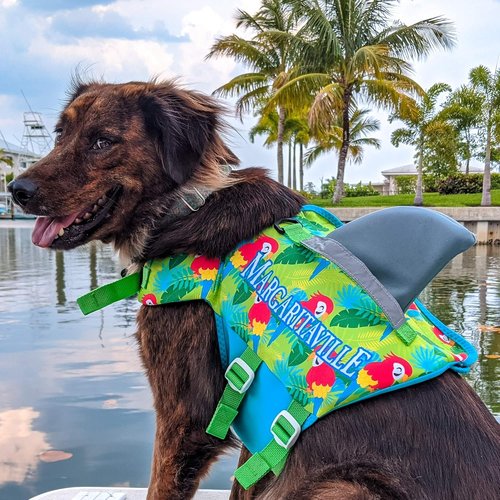 Margaritaville Shark Pet Vest